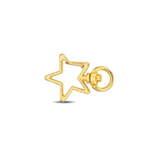 Hard Enamel Pin