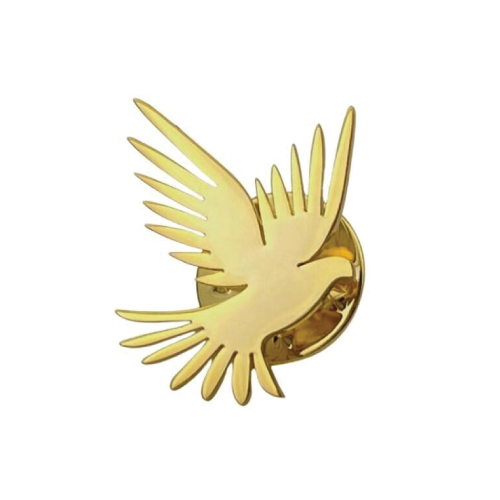 Hard Enamel Pin